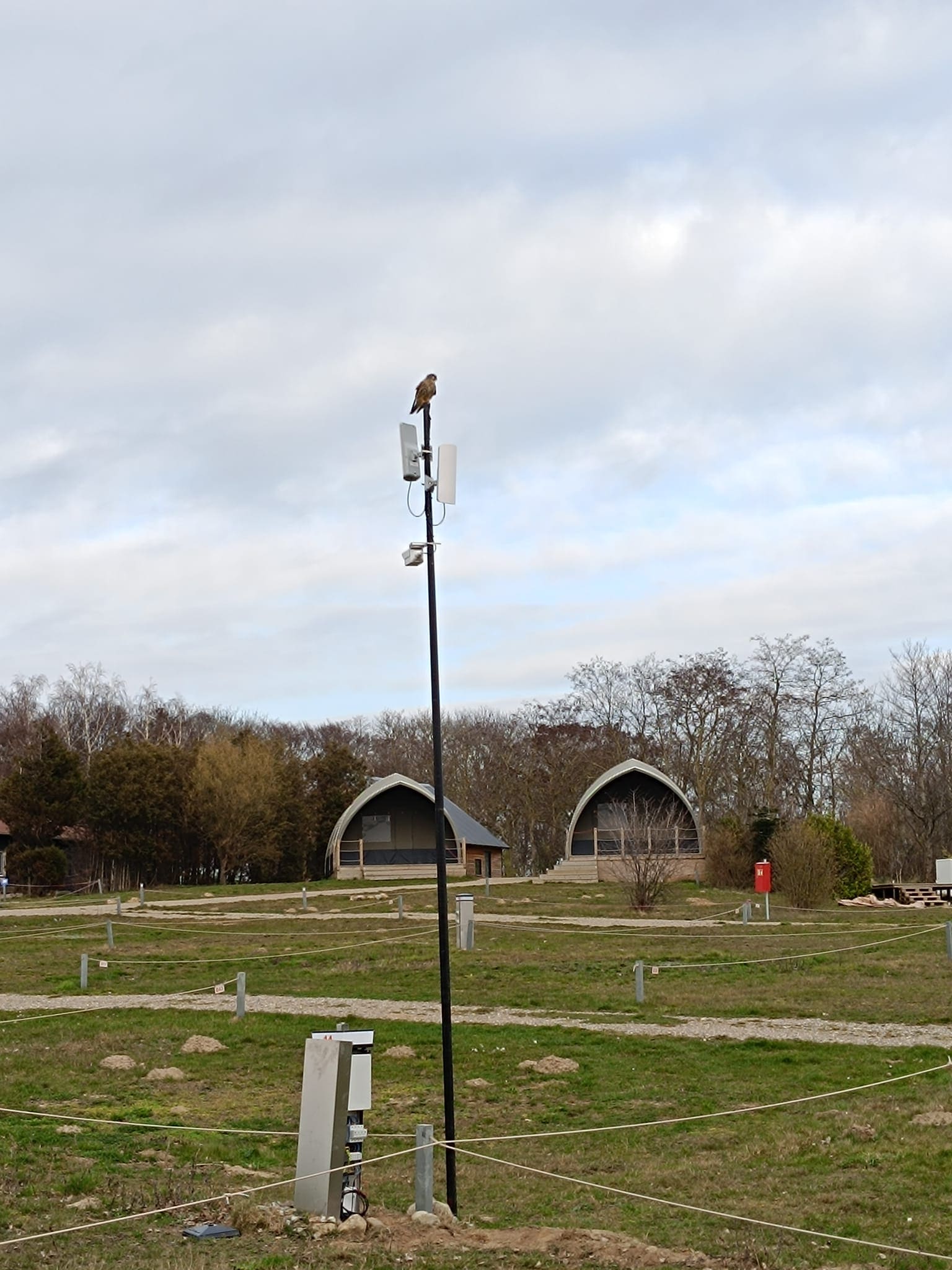 Campingplatz WLAN Internet HaffCamp Werder Stromsäulen